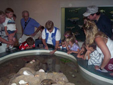 Museum of Coastal Carolina