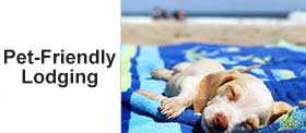 Pet-Friendly Hotels and Vacation Rentals Holden Beach NC