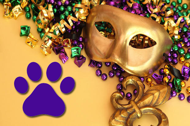 Mardi Gras for Paws