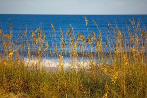 View Live Holden Beach NC Webcams